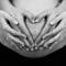 Cambios en vagina y vulva durante el embarazo